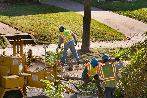 Best Tree Planting  in Somerset, NJ